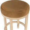 Meridian Furniture,Monette Saddle Velvet Counter Stool - 3 of 4