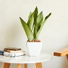 Okak Self-Watering ABS Orchid Pots with Holes - Vertical Planter for Indoor & Outdoor Plants, 2 Pack(S+M) - 4 of 4