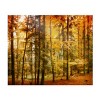 Trademark Fine Art -Philippe Sainte-Laudy 'Fall Color' Canvas Art - 2 of 4