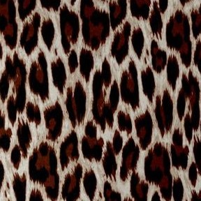 oatmeal animal print