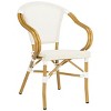Karine Arm Chair (Set Of 2) - Indoor/Outdoor - PAT4003 - Beige - Safavieh - 4 of 4