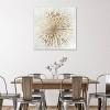 iCanvas Golden Star by Tom Reeves Canvas Print Wall Art - 3 of 3