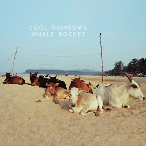 Cool Rainbows - Whale Rocket - 1 of 1