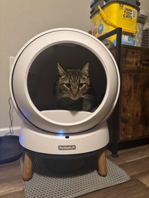 Guest review image 1 of 1, zoom in