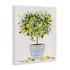 Stupell Industries Lemon Tree Detailed Planter, 30" x 40" - 3 of 4