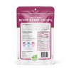 Nature's Turn Freeze-Dried Fruit Snacks - Mixed Berry Crisps -  No Sugar Added, Non GMO, Gluten Free, Nothing Artificial (1.2oz) 6-Pack - 3 of 4