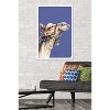 Trends International Snowtap - Camel Photobomb Framed Wall Poster Prints - 2 of 4