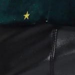 dark green-star