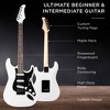 Best Choice Products 39in Full Size Beginner Electric Guitar Kit with Case, Strap, Amp, Whammy Bar - image 3 of 4