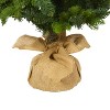 5ft. Fir Look Artificial Christmas Tree with 190 Clear LED Lights, Burlap Base & 1217 Branches – Rustic Holiday X-Mas Tree - 4 of 4