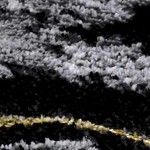 light slate, ivory, charcoal