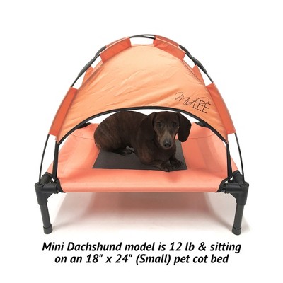 Small Salmon Elevated Outdoor Dog Cot with Canopy