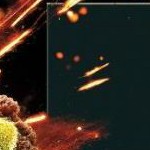 clear push pins bundle