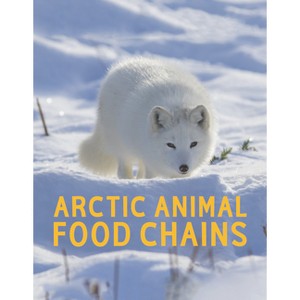 Arctic Animal Food Chains - (Nunavummi Reading) by  Jordan Hoffman (Paperback) - 1 of 1