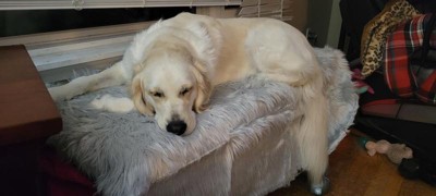 Guest review image 4 of 5, zoom in