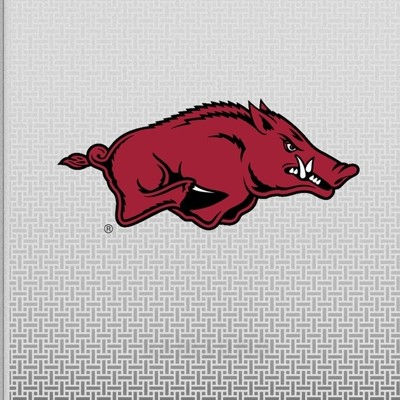 arkansas razorbacks