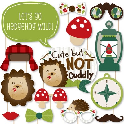 Big Dot of Happiness Forest Hedgehogs - Woodland Birthday Party or Baby Shower Photo Booth Props Kit - 20 Count