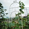 Lirago 86.7"H * 19.7"W * 1"D,4 Pack Metal Garden Trellis Rustproof Climbing Plant Support for Outdoor Flowers, Vines, Vegetables White Powder-Coated - 2 of 4