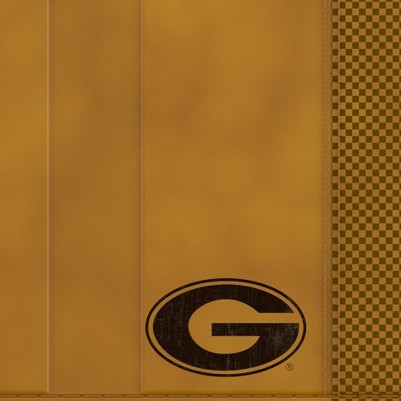 georgia bulldogs