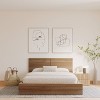 Nexera James 2 Drawers Nightstand Brown Oak: Scandinavian Vibe, Melamine Finish, Metal Slides - 4 of 4