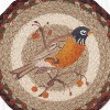 Earth Rugs Robin Round Trivet – 10" Red-Breasted Bird Print on Braided Natural Jute Table Mat - 3 of 3