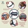 HOOZA Dog Collar - Dog Outdoor Accessory, Pet Safety - Reflective, Magnetic Quick Clip - 2 of 4