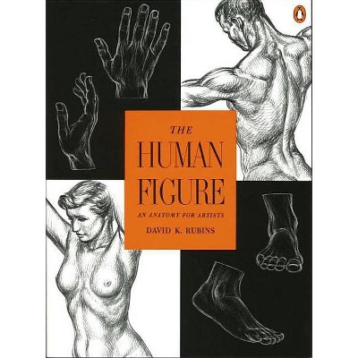 The Human Figure - by  David K Rubins (Paperback)