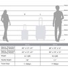 2 PCS Expanable Luggage Set, Hardside Spinner Suitcase with TSA Lock-ModernLuxe - 3 of 4