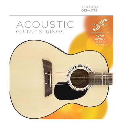 First act adam store levine acoustic guitar