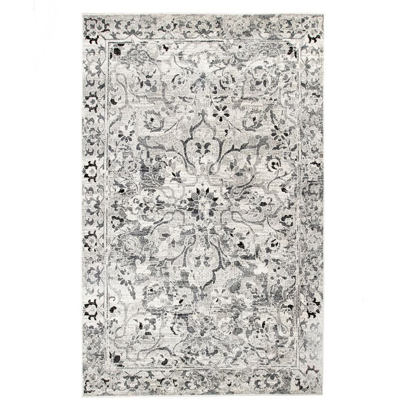 Distressed Traditional Floral Modern Transitional Indoor Area Rug by Blue Nile Mills, 1 of 12