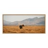 Kate and Laurel Sylvie Icelandic Horses No 3 Framed Canvas by Crystal Lynn Collins - 2 of 4
