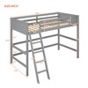 Loft Bed With Ladder,  Twin Size Bed Frame, Wooden Slat Support , Solid Wood , Loft Bed Bedroom Furniture No Spring Box Needed - 4 of 4
