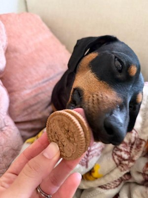 Guest review image 3 of 4, zoom in