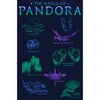 Juniors Womens Avatar The World of Pandora Cowl Neck Sweatshirt - 2 of 4
