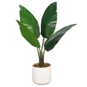 19.7" Artificial Mini Traveler’s Palm Plant in Pot – 1 Pot with 2 Lifelike Faux Plants, Tropical Indoor Decor for Home & Office - 1 of 4