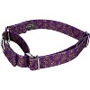 Country Brook Petz Purple Paisley Martingale Dog Collar - image 4 of 4