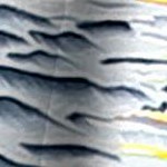 palm tree island grey