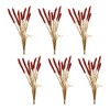 Fall Foxtail Grass Bundle (Set of 6) - 2 of 3
