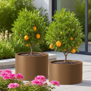 Wooakway 2-Piece Indoor Outdoor Round Metal Planter Pot Planter Box Patio Garden Bed Brown - 1 of 4