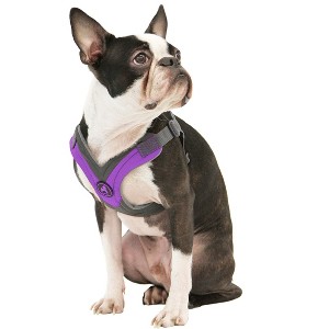 Gooby Trekking Harness, Small Dog Fleece Lined Harness with Memory Foam Padding, Purple, Small - 1 of 1