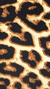 leopard print