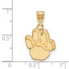 Black Bow Jewelry 10k Yellow Gold Pittsburgh Panthers NCAA Medium Pendant - 2 of 3