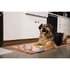 Solid Gold Mobility Sweet Potatoes and Beef Flavor Wet Dog Food - 3.5oz - 2 of 2
