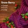 Downy Cozy Snow Berry Beads - 7.8oz - 4 of 4