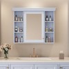 35'' x 28'' Blue Wall Mounted Bathroom Storage Cabinet with Mirror Door, Modern Bathroom Wall Cabinet with Mirror - 3 of 4
