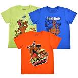 Warner Bros Boy's 3-Piece Scooby Doo Tee Shirt Set for Toddler