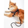 Touchdog  'Macaron' 2-in-1 Durable Nylon Dog Harness and Leash - 3 of 3