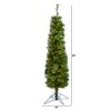Nearly Natural 5-ft Green Pencil Artificial Christmas Tree with 100 Clear (Multifunction) LED Lights and 198 Bendable Branches - 2 of 4