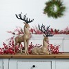 Modern Deer Figurine (Set of 2) - 2 of 4