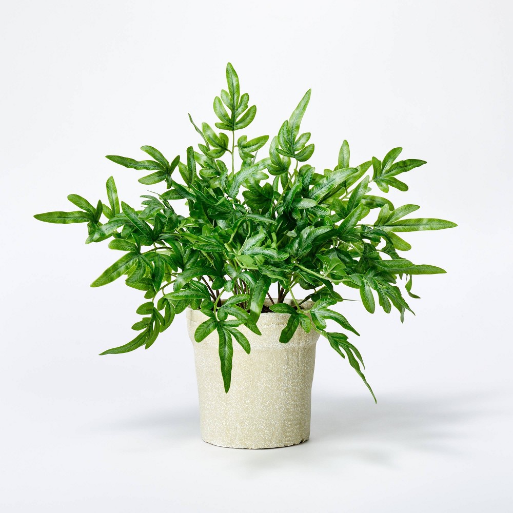 Medium Ribbon Fern Leaf in Pot - Threshold™ designed with Studio McGee